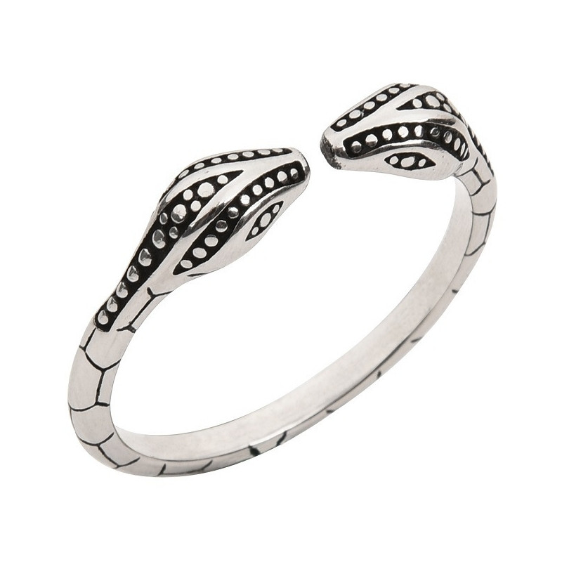 MenSteel Anneau de gland Two Snake